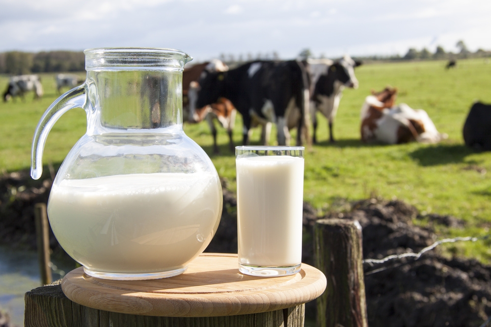 A jug of locally produced milk on a table in a field